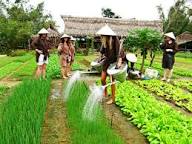 Tra Que Vegetable Village near Hoi An